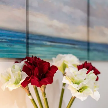 Citycosy - T2 Hirtz Orangerie * Strazburg