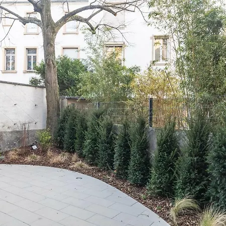 Citycosy - T2 Hirtz Orangerie Estrasburgo